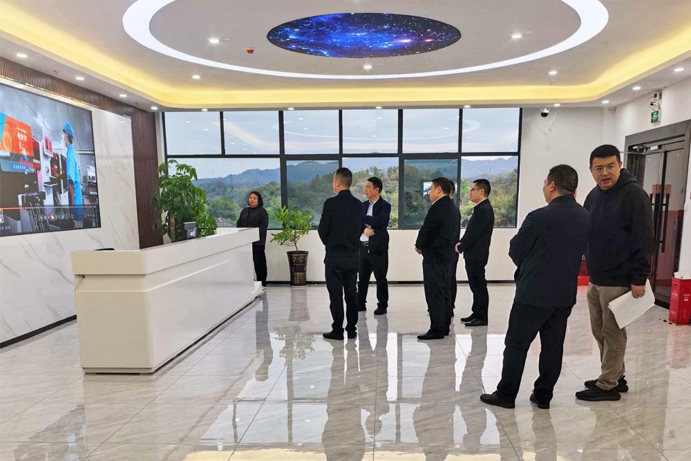 省工信厅刘卫东一行赴湖南绘晶科技调研 聚焦显示产业发展质效​